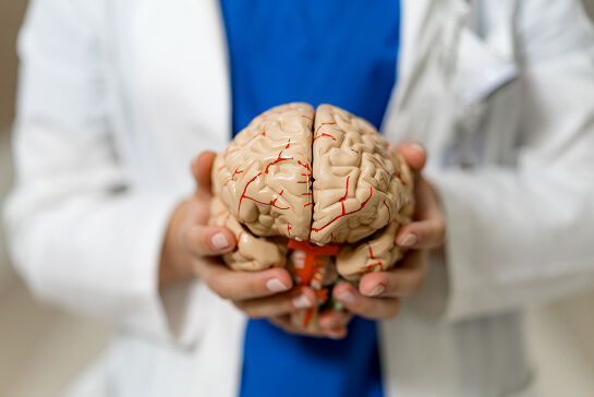 neurofisiologia 2