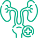 urologia